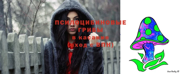 гидра Новодвинск