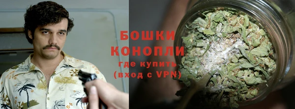 МДПВ Новозыбков
