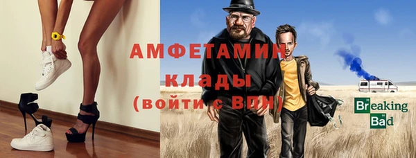 индика Новокубанск