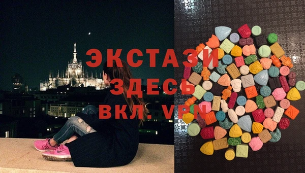 гидра Новодвинск