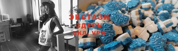 гидра Новодвинск