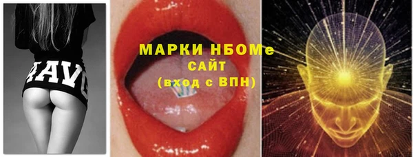 индика Новокубанск