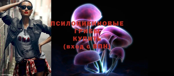 гидра Новодвинск