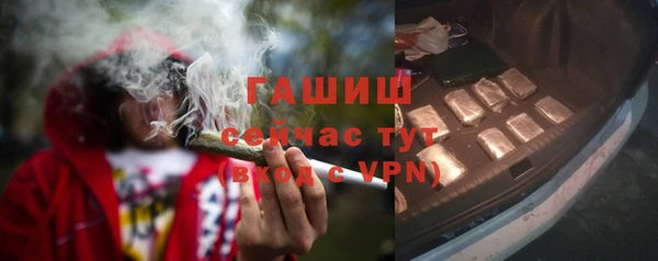 гидра Новодвинск