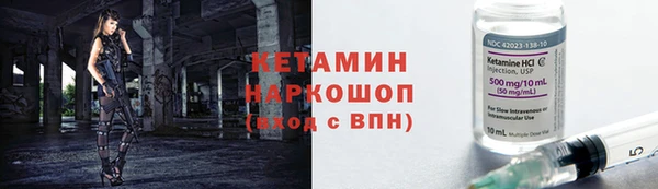гидра Новодвинск