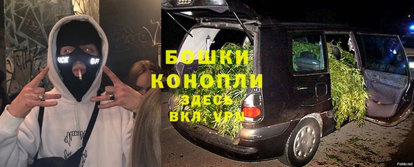 гидра Новодвинск