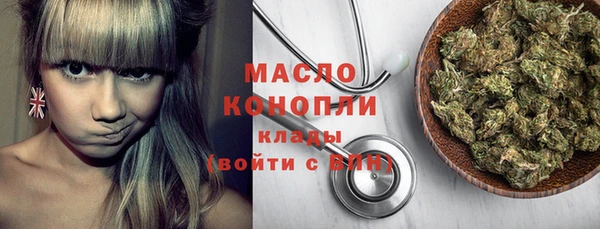 индика Новокубанск