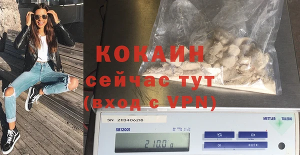 индика Новокубанск