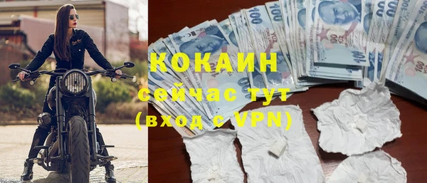 индика Новокубанск