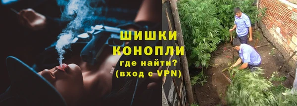 гидра Новодвинск