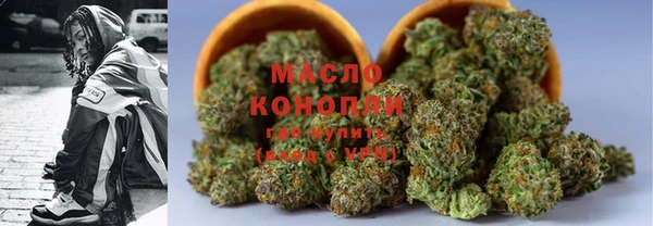 индика Новокубанск